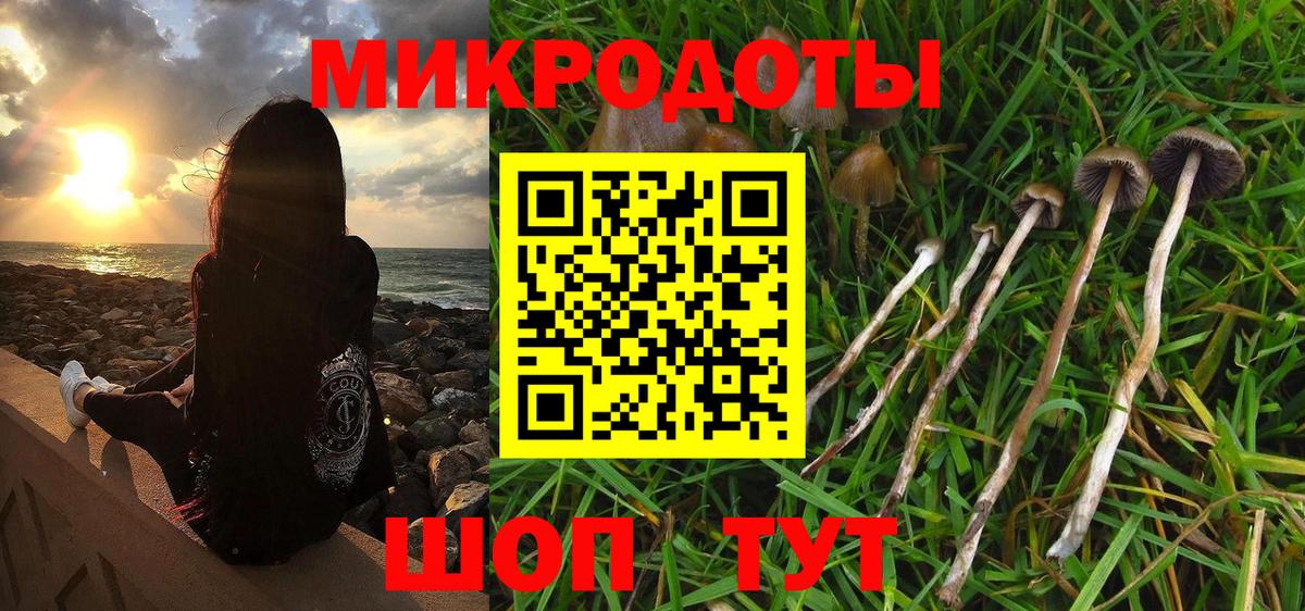 Ижевск  Псилоцибиновые грибы MAGIC MUSHROOMS  Вход с VPN 