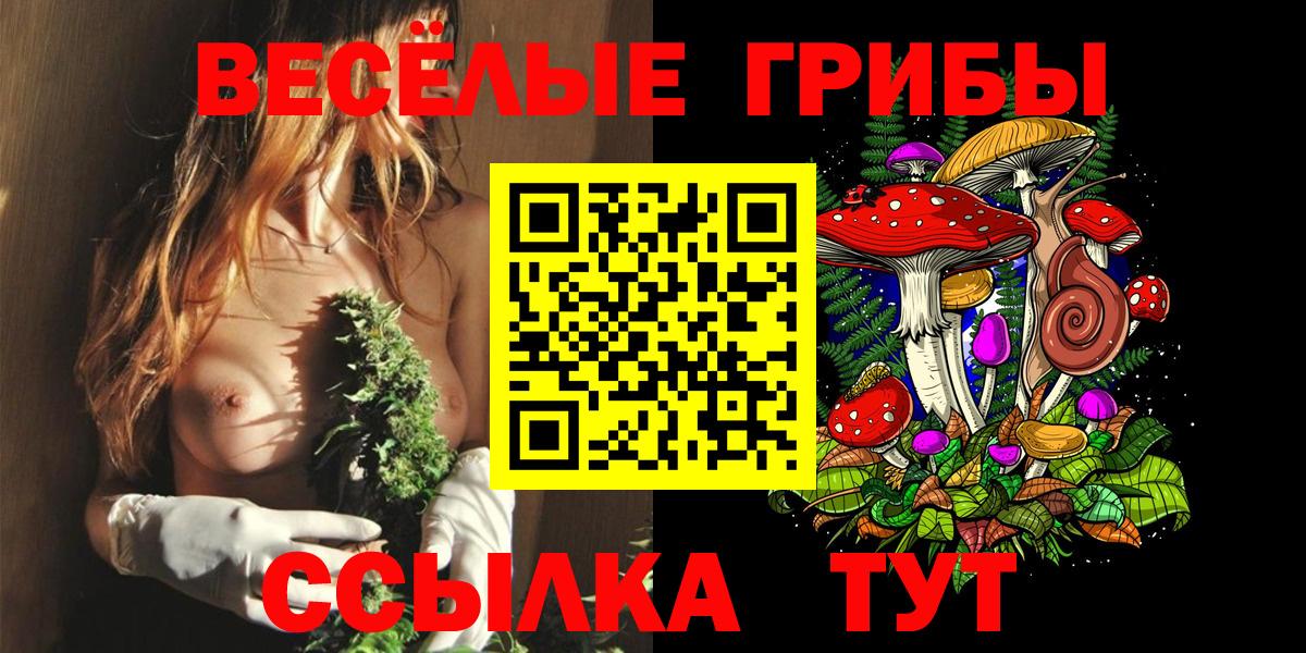 Псилоцибиновые грибы мицелий Ижевск