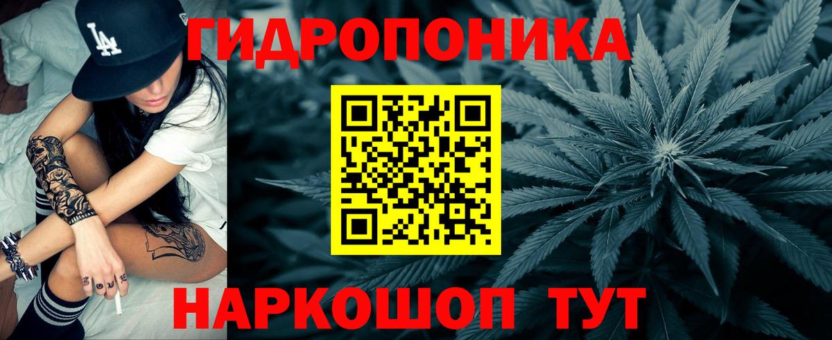 Бошки марихуана план  Каннабис тримм  Ижевск  Вход с VPN  Шишки марихуана AK-47 